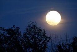 Superksiężyc 2019: we wtorek 19 lutego Księżyc znajdzie się najbliżej Ziemi. To najjaśniejsza pełnia w roku