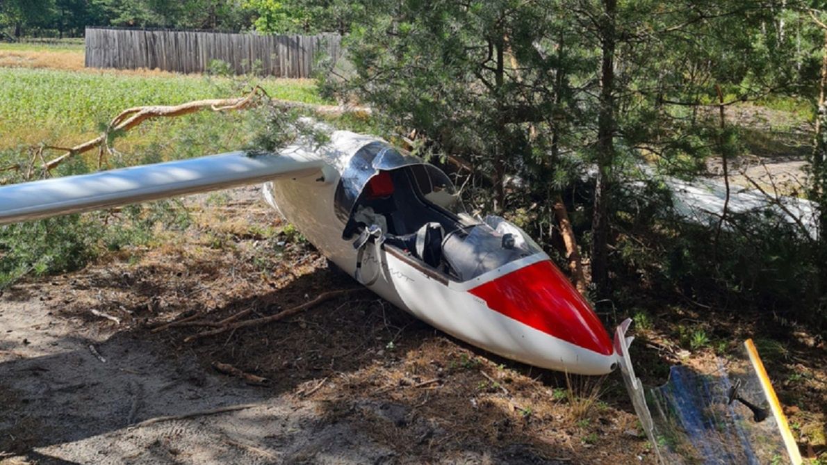 Szybowiec awaryjnie lądował na polu. Pilot uderzył w drzewo 