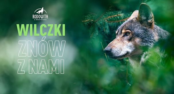 Hand Made wspiera najnowszą akcję “Rodowita Wilczki”