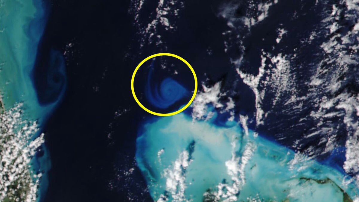 Tajemniczy wir ukazał się w pobliżu Bahamów 