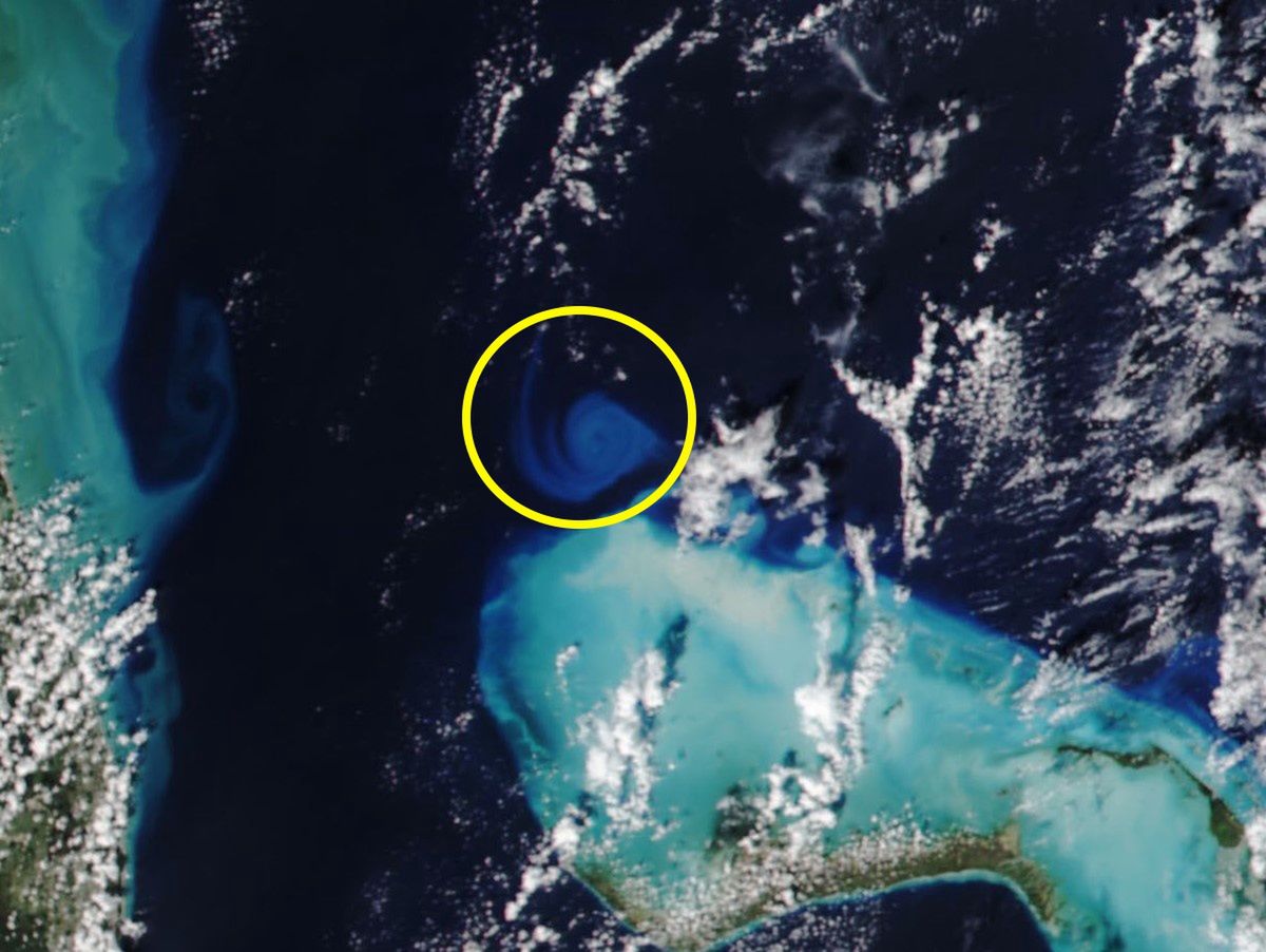 Zdjęcie satelitarne przeraziło naukowców. To zobaczyli na Atlantyku