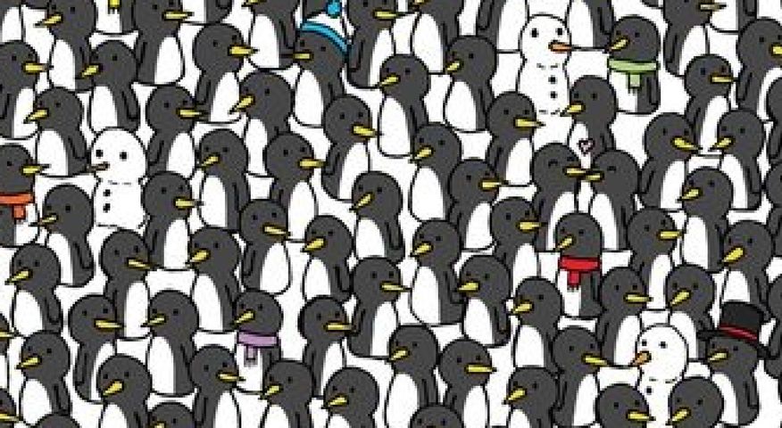 Wśród pingiwnów ukryły się trzy koty. Dasz radę znaleźć wszystkie?