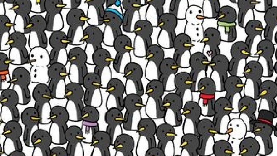 Wśród pingiwnów ukryły się trzy koty. Dasz radę znaleźć wszystkie?