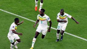 Puchar Narodów Afryki. Najlepsze drużyny walczą o tytuł. Zobacz mecze na żywo