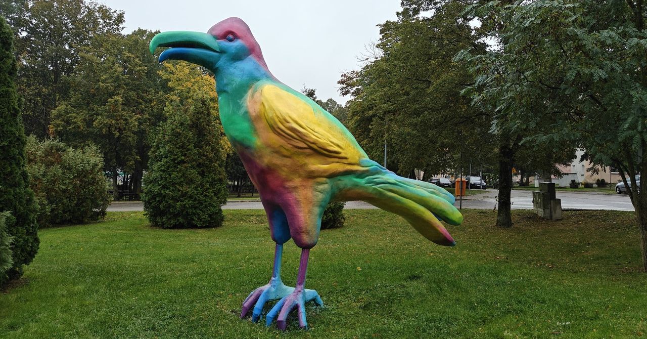 Szczecin: Rzeźba kruka przeszła metamorfozę. Zobaczcie, jak teraz wygląda