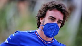 F1. Fernando Alonso kuszony przez Red Bulla. Kolejne podejście "czerwonych byków" do transferu Hiszpana
