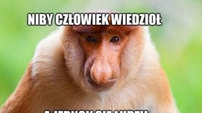 Liga Europy. "Ciao Legio". Zobacz memy po porażce Wojskowych