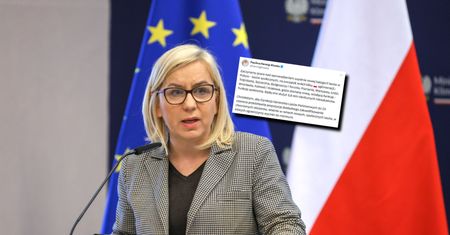 Będzie nowa kategoria lasów w Polsce. Są pierwsze szczegóły