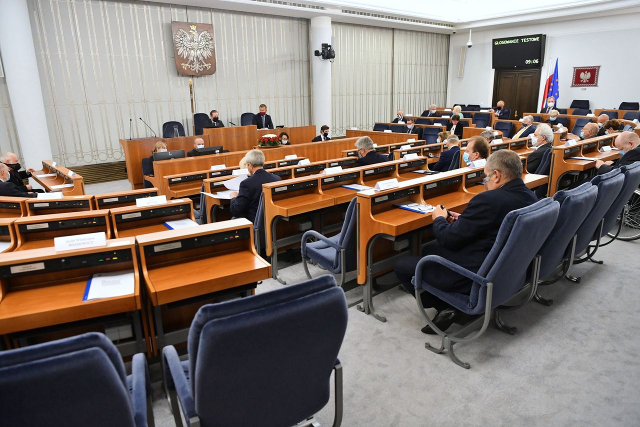 Senat podjął decyzję ws. "Piątki dla zwierząt". Teraz dalszy los ustawy jest w rękach posłów