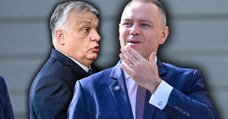 Sondaż WP. Polacy ocenili spotkanie Nawrockiego z Orbánem