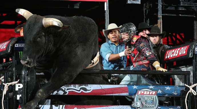 Pro Bull Riders 2