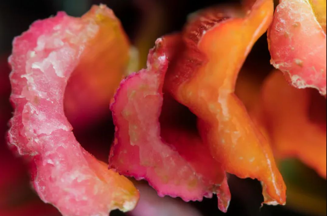 Eliminuje komórki rakowe. Nawet 50 proc. w ciągu zaledwie 48 godzin