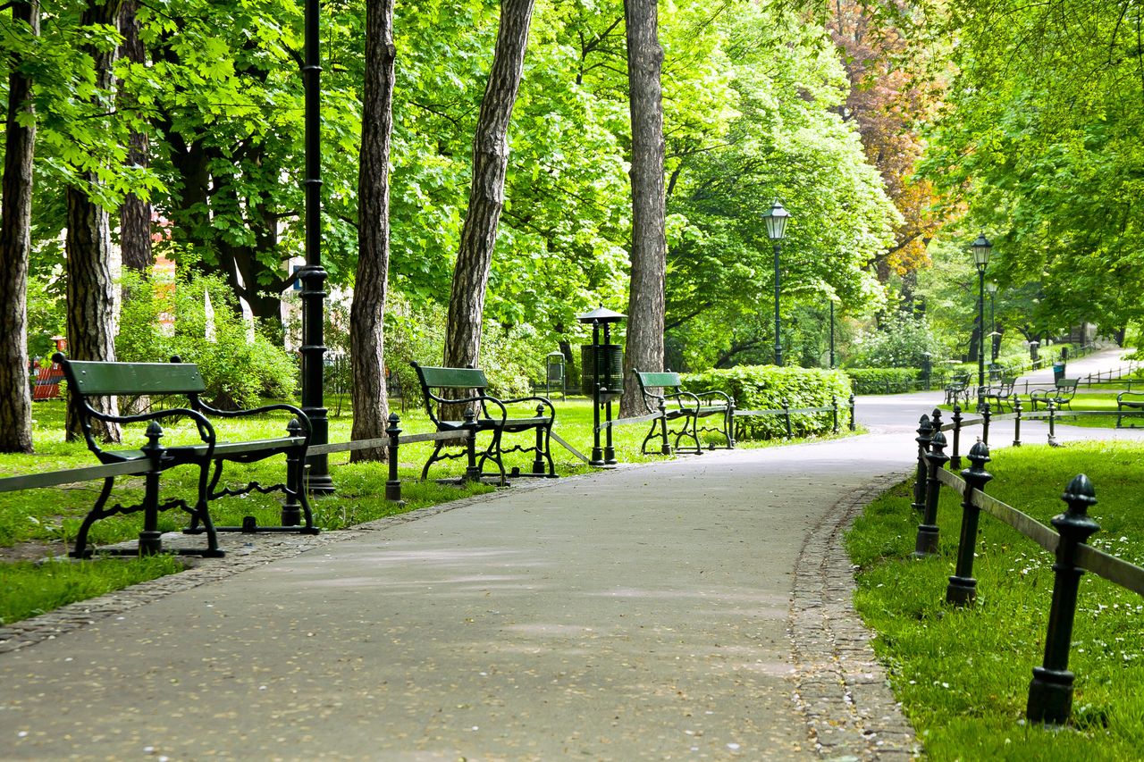 Kalisz: Nowe, zielone skwery powstaną w mieście