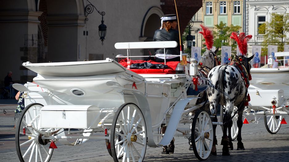 W związku z prognozowanymi temperaturami przekraczającymi 30 st. C zmiana postoju dorożek w Krakowie.