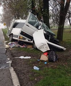 Bus uderzył w drzewo, trzy osoby w tym dziecko nie żyją. Obywatel Ukrainy z zarzutem sprowadzenia katastrofy