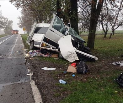 Bus uderzył w drzewo, trzy osoby w tym dziecko nie żyją. Obywatel Ukrainy z zarzutem sprowadzenia katastrofy
