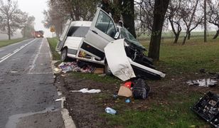 Bus uderzył w drzewo, trzy osoby w tym dziecko nie żyją. Obywatel Ukrainy z zarzutem sprowadzenia katastrofy