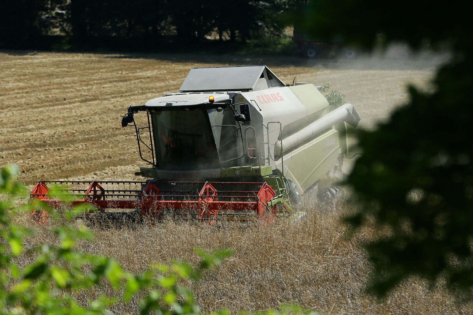 Zniwa w Wilamowicach
Zbigniew Meissner
claas, czas zniw, gospodarka, kombajn, pogoda, rolnictwo, uprawa, zboza, zboze, zniwa, zniwa lato slonce