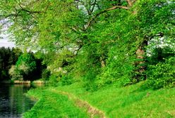 Pogoda na ostatni weekend kwietnia