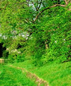 Pogoda na ostatni weekend kwietnia
