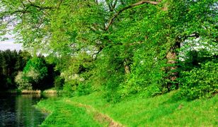 Pogoda na ostatni weekend kwietnia