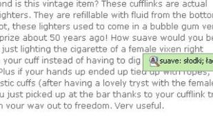 Szybkie tłumaczenie z Google Toolbar 1