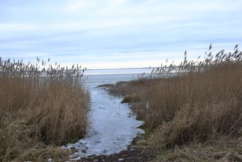 Słowiński Park Narodowy: Zarybianie jezior Gardno i Łebsko
