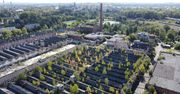 Częstochowa: Czy na gruzach "Elanexu" powstanie nowy dom Rakowa? Miasto zabezpiecza środki na wykup gruntów