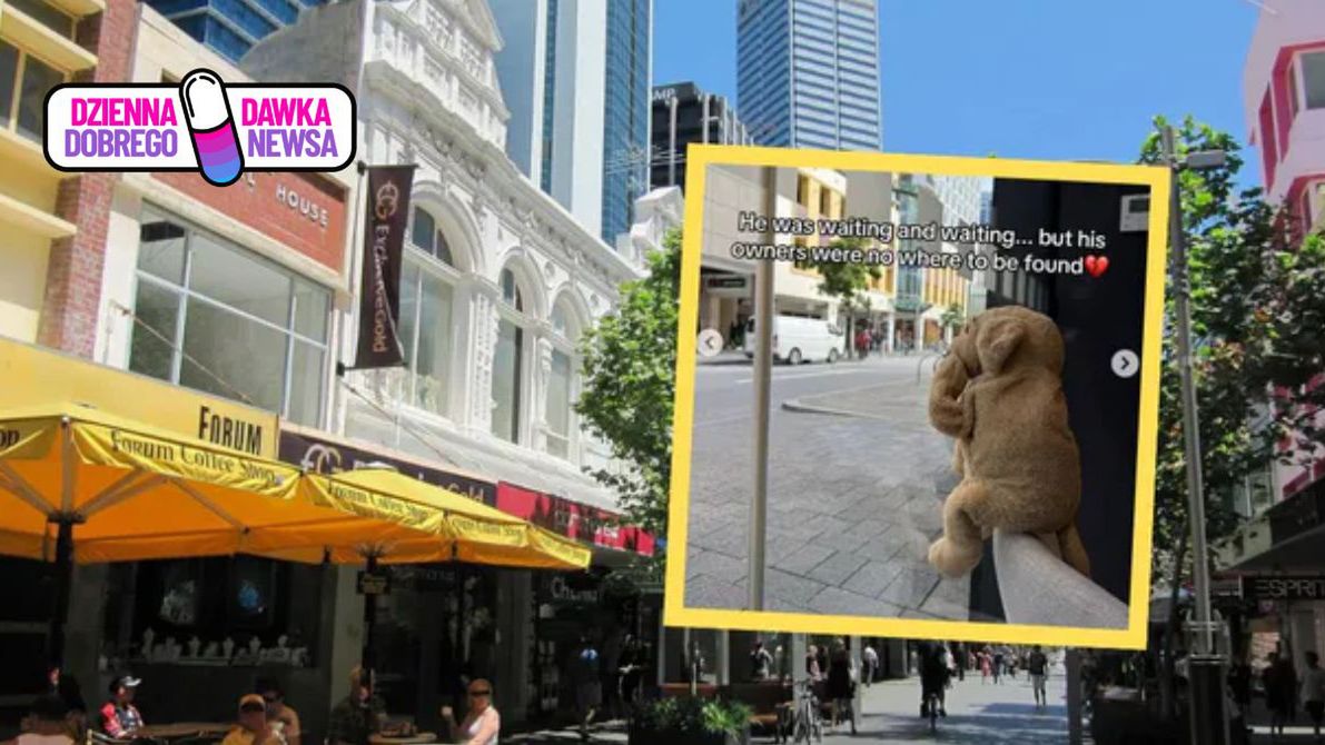 Pluszak czeka na rodzinę. Jego historia rozczula Australijczyków