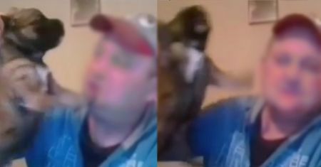 Patostreamer nie miał litości dla szczeniaka. Teraz ma spore problemy