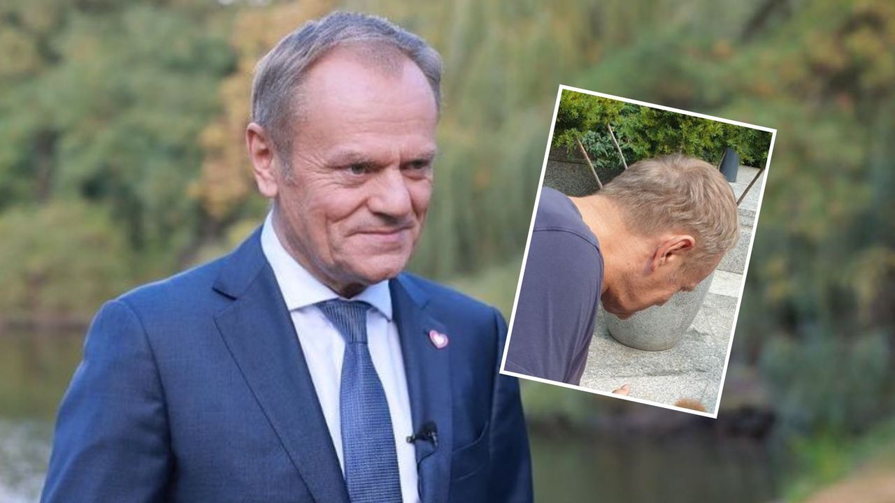 Donald Tusk wrzucił do sieci zabawne zdjęcie