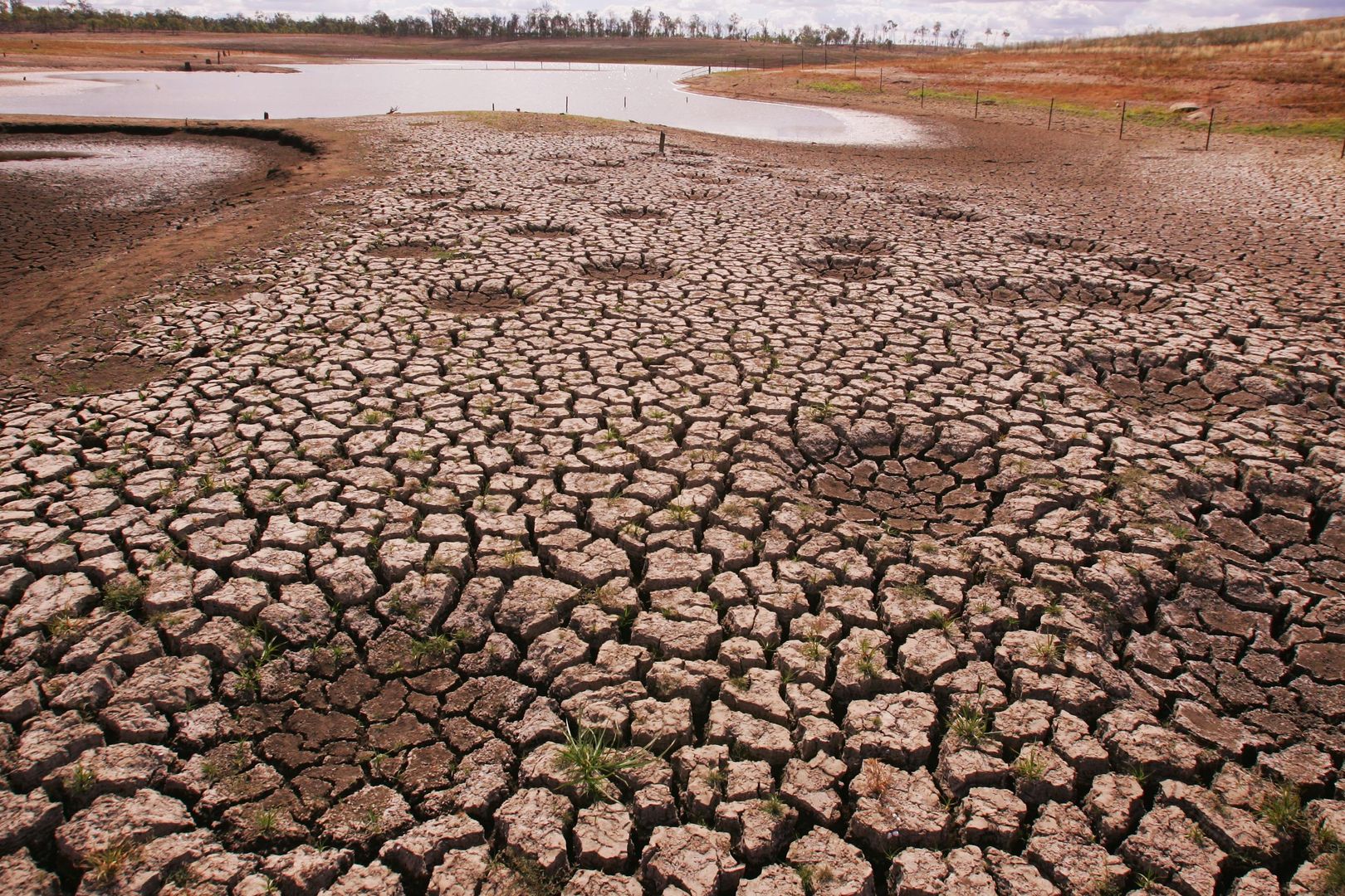 Jednym ze skutków zmian klimatu są długotrwałe susze