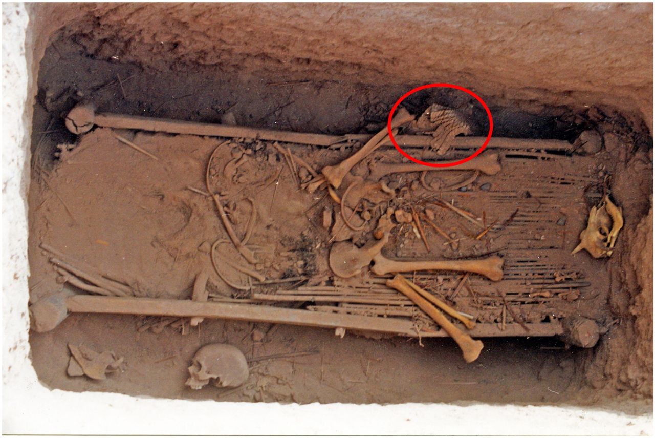 Zadziwiająca podróż starożytnego artefaktu. Jak asyryjska zbroja znalazła się w chińskim grobowcu? - Grób Yanghai IIM127. Kółkiem zaznaczono elementy zbroi.