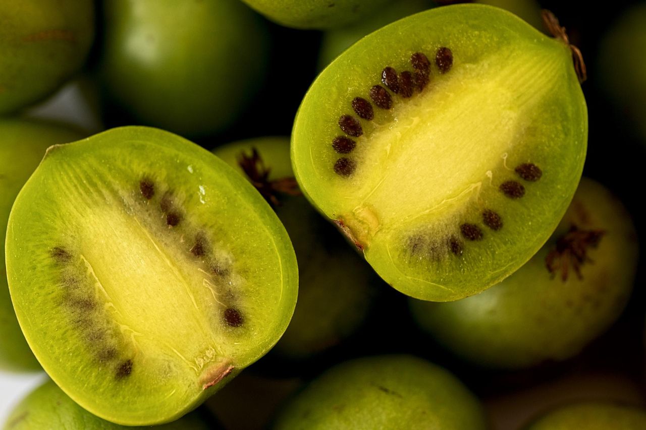 Polski superowoc o wielkiej mocy. Chroni przed miażdżycą, rakiem