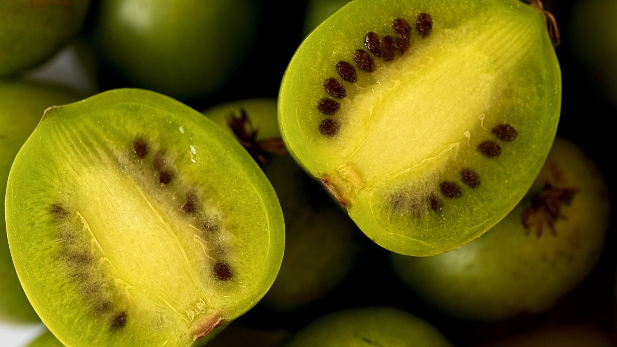 Mini owoc o wielkiej mocy. Polacy nadal za mało go doceniają