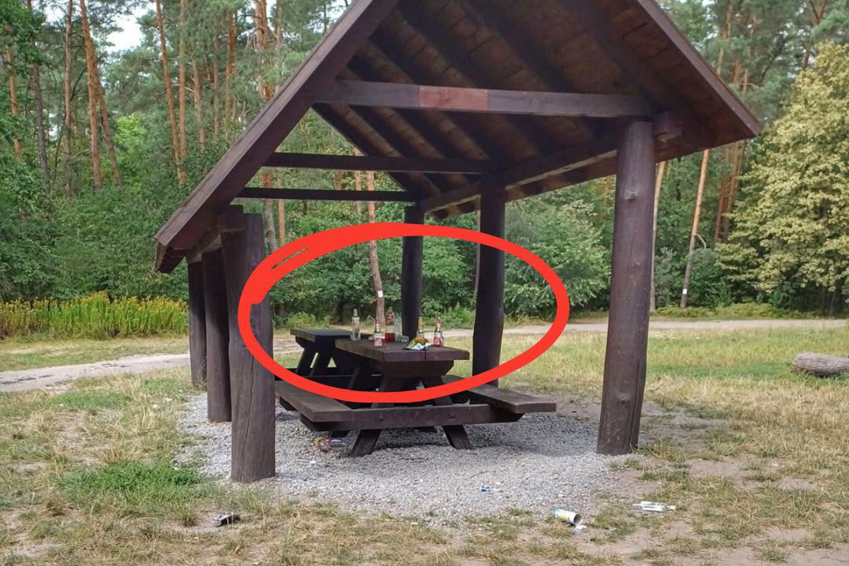 Leśnicy szli przez las. To zastali. "Wniosek mamy jeden"