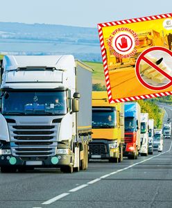 Zatrzymali 40 ton żywności z Ukrainy. Wykryli rażący błąd