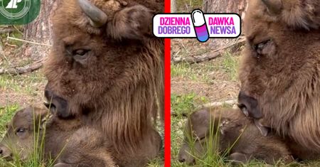 Leśnicy pochwalili się nową mieszkanką. Ma zaledwie kilka dni