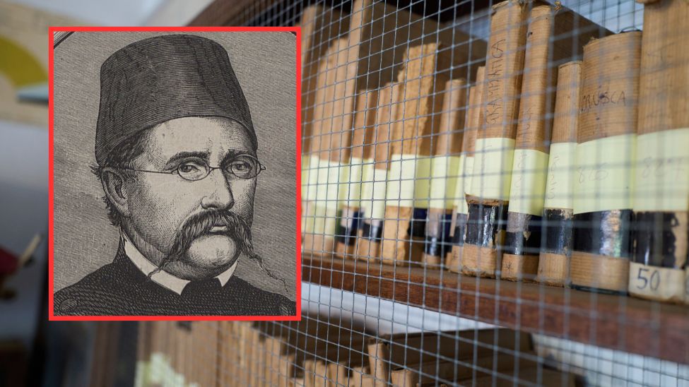 Zaginione rękopisy Ryszarda Berwińskiego przekazano Bibliotece Kórnickiej