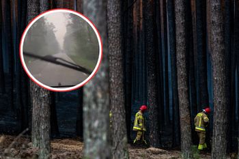 Pożary na Roztoczu. Leśnicy pokazali nagranie "prosto z pożarzyska"
