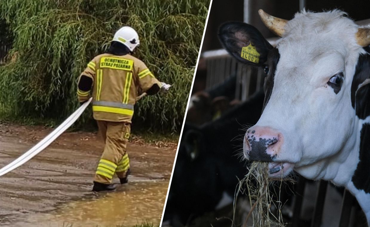 Strażacy usuwają skutki burz. Piorun uderzył w oborę