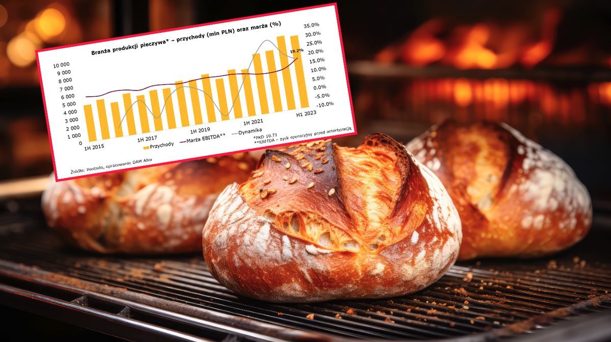 Ekonomiści Alior Banku droższych cen chleba upatrują w wyższej marży