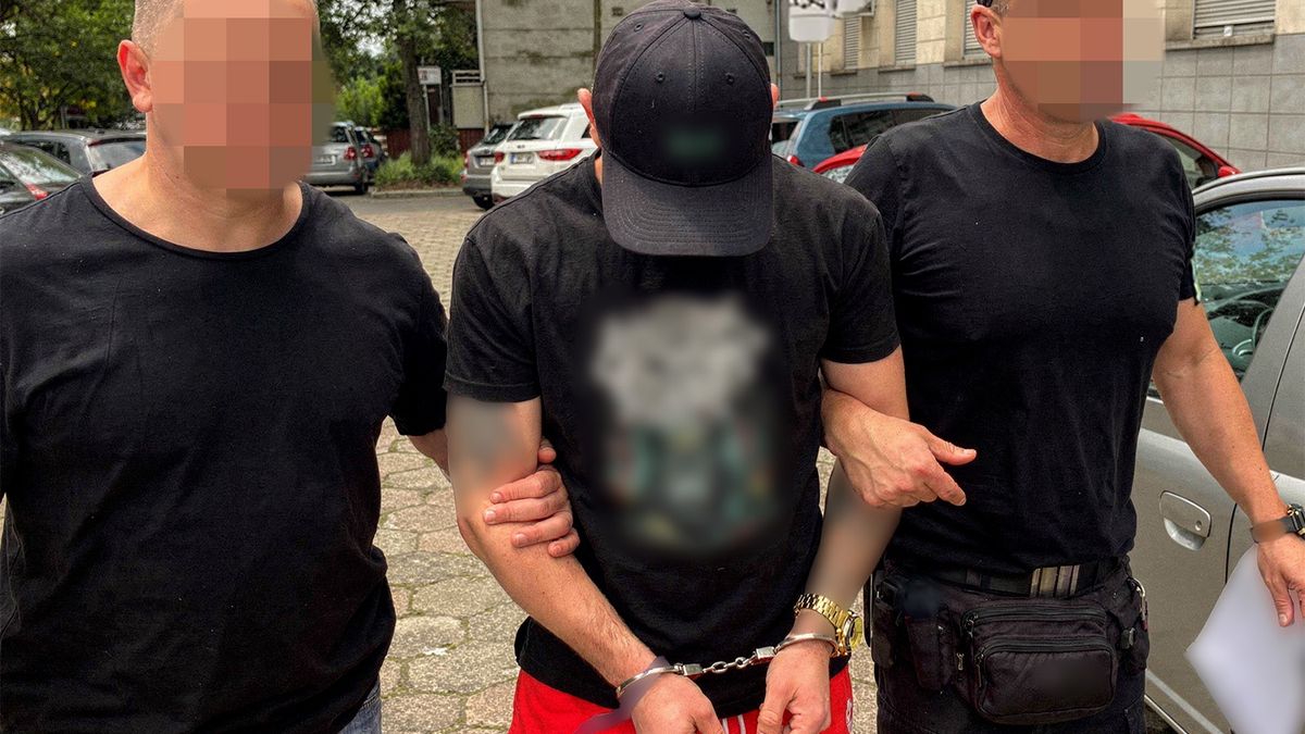 policja