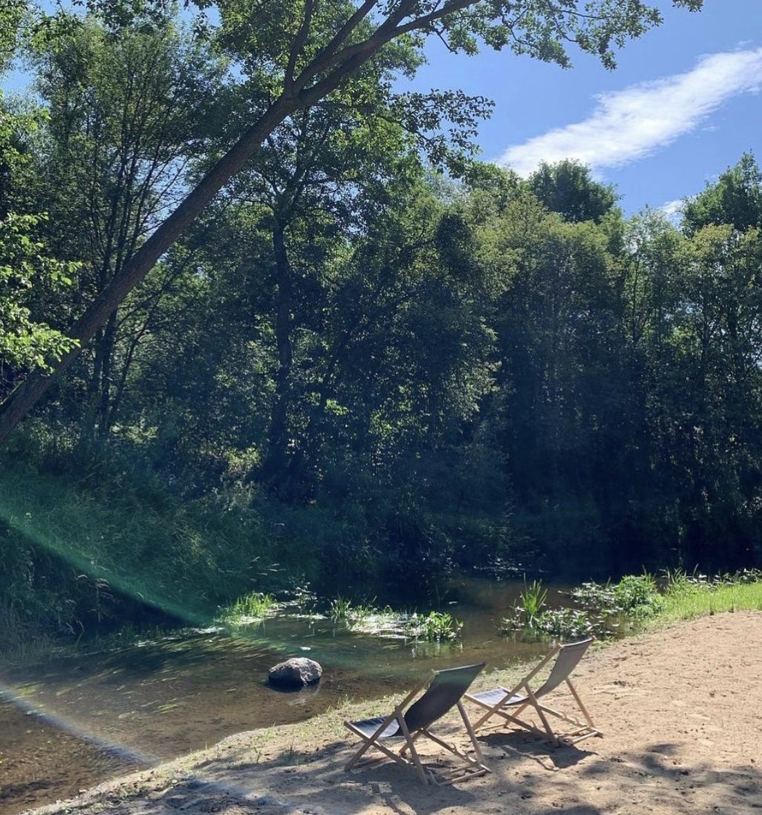 Okolice działki Mandaryny