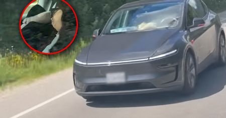 Kanada: Spała za kierownicą Tesli? Policja analizuje nagranie