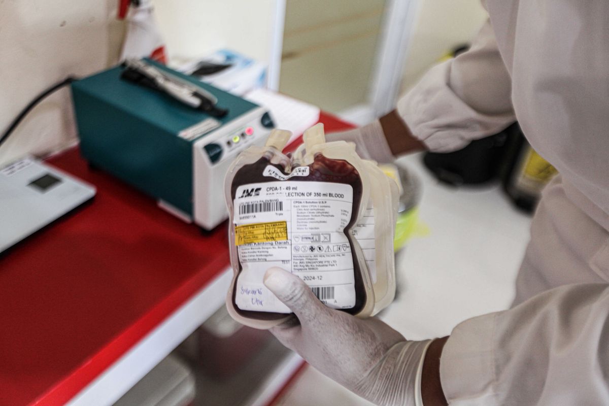 PALEMBANG, INDONESIA - JUNE 14 : A health officer checks blood bags donated by volunteer during World Blood Donor Day in Palembang, Indonesia on June 14, 2022. World Blood Donor Day is celebrated around the world on 14 June to raise awareness about the need for safe blood and blood products to save lives. The day is also an opportunity to thank voluntary, unpaid blood donors for their life-saving gifts of blood. (Photo by Muhammad A.F/Anadolu Agency via Getty Images)