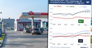 "Zaskakujące ceny paliw". Orlen tłumaczy się z zarzutów