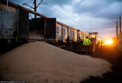 Kto wysypuje ukraińskie zboże? "Służby powinny działać bardziej zdecydowanie"
