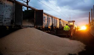 Kto wysypuje ukraińskie zboże? "Służby powinny działać bardziej zdecydowanie"