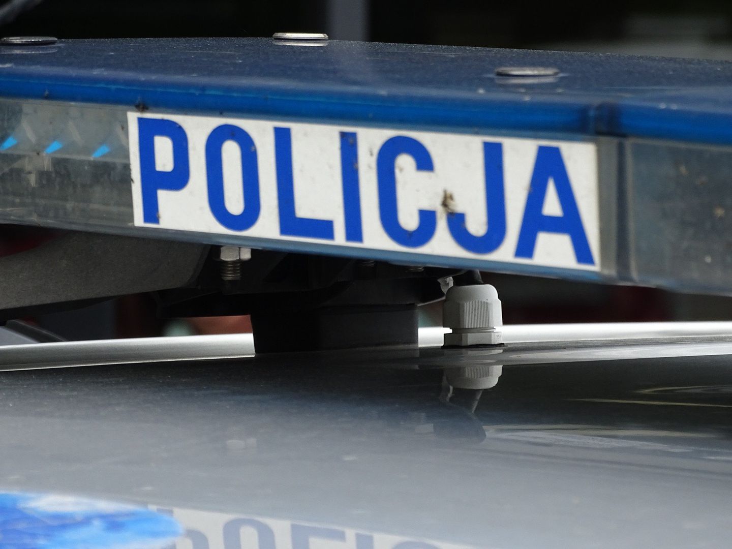 Narkotyki w doniczce i kosmetyczce. 43-latka z Chojnowa znów zatrzymana